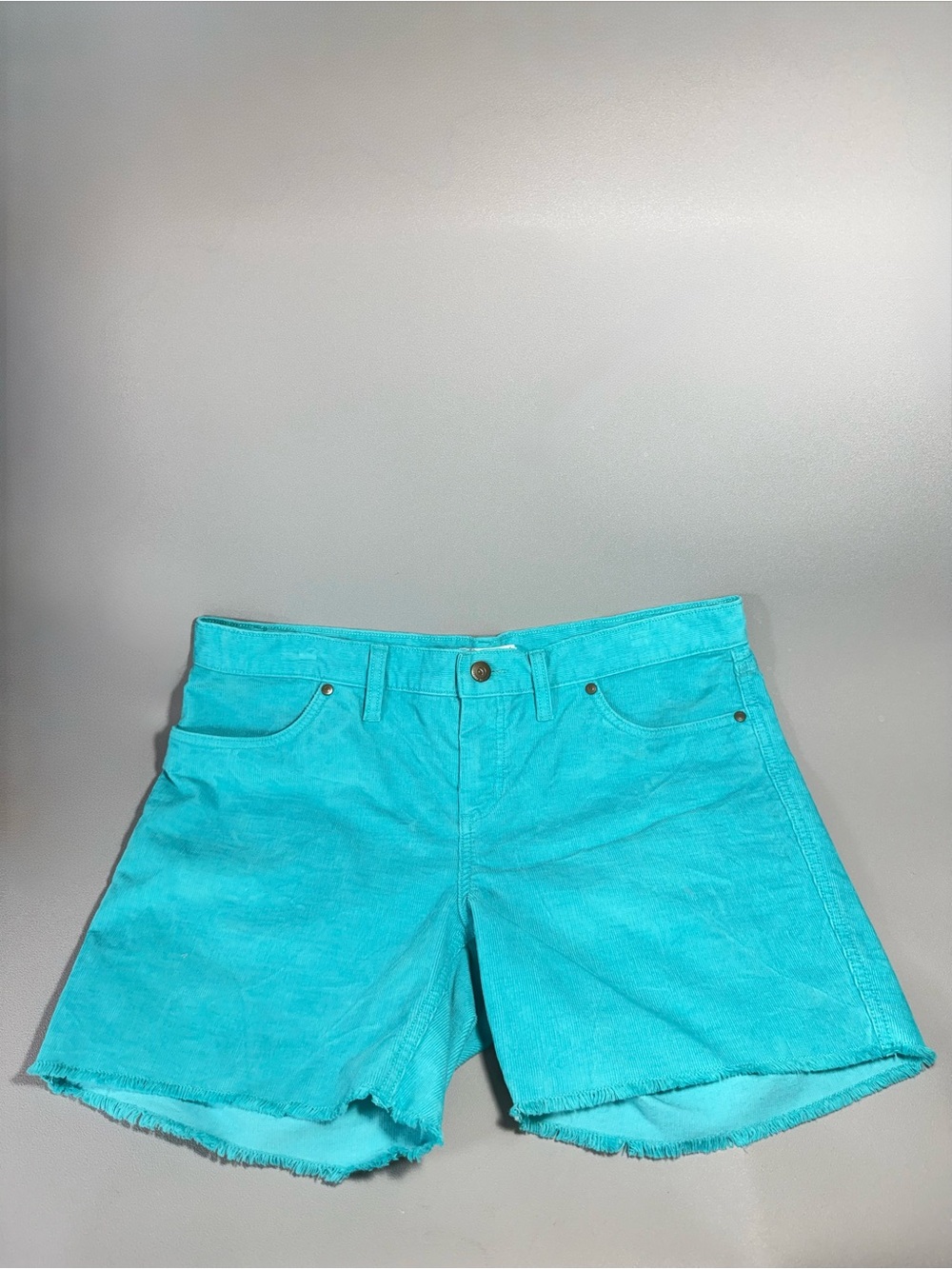 CARVE DESIGN Bright Turquoise Cotton Blend Corduroy Shorts - Picture 2 of 12